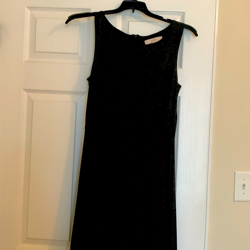 Beautiful Loft Dress